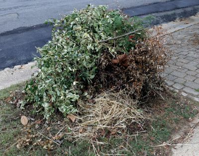 Yard Waste Removal